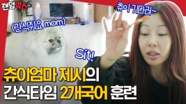 제시 (a.k.a 츄이맘) NEW 하우스 공개! 츄이 똑똑하고 귀엽고 다해ㅜㅜ🐶 | #온앤오프 #Diggle #랜덤박스 #유료광고포함 | ZUM TV