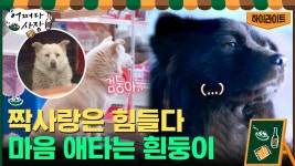 검둥이를 바라보는 눈빛에서 애틋함이 느껴지는 흰둥이..ㅠㅠ 검둥&흰둥 아련모음 #highlight | ZUM TV