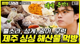 제주도면 바다, 바다 하면 해산물이지🌊 성게 비빔밥에 회, 소라까지 수라상 부럽지 않다! | #바퀴달린집 #디글 #밥밥디라라 | ZUM TV