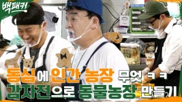 감자전 동물농장의 동심 파괴범, 백종원X딘딘 & 동심 지킴이, 오대환 | tvN 220804 방송 | ZUM TV