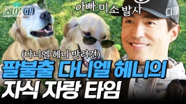 다니엘 헤니가 개 농장에서 구조한 소중한 반려견들🐶 림철령이 너는 강아지 없지?｜#업글인간 | ZUM TV
