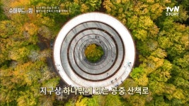 전세계에 유일한 공중산책로? 덴마크식 전통 고기 요리로 단백질 절.대. 지.켜. | tvN STORY 221106 방송 | ZUM TV
