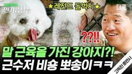 말도 안 되는 소리!🏕️ 반려견들의 로망을 실천 중인 뽀송이네 가족 이야기 | #고독한훈련사 #인기급상승 | ZUM TV