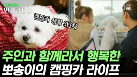 3년째 캠핑카 생활 중인 뽀송이네 가족🐶 모든 날 모든 순간 반려견과 함께라 행복했다💖 | #고독한훈련사 #인기급상승 | ZUM TV