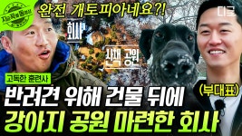 비즈니스 치트키: 귀여운 갱얼쥐🔑 사람에게도 강아지에게도 최고의 복지! 개토피아 사무실💗 | #고독한훈련사 #지금꼭볼동영상 | ZUM TV