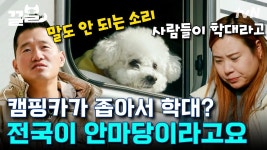 캠핑카 생활이 왜 학대에요? 말도 안되는 소리! 전국을 누비는 3년차 캠핑러 뽀송이네🐶 | 고독한훈련사 | ZUM TV