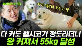 초등학교 원픽 강아지?! 강화도 양조장 마스코트 금풍이🐶막걸리 사는 사람보다 강아지 보러 오는 사람들이 더 많음 ㅋㅋㅋ | #고독한훈련사... 