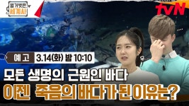 [예고] 모든 생명의 근원인 바다, 이젠 죽음의 바다가 된 이유는? | ZUM TV [예고] 모든 생명의 근원인 바다, 이젠  죽음의 바다가 된 이유는?... 