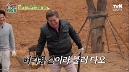 슈퍼 허리 용건의 풀~스윙 장작 패기 실력🔥 소리만 거창하고 낑낑거리는 이계인! | tvN STORY 230403 방송 | ZUM TV