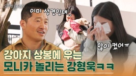촬영까지 끊고 대성통곡한 모니카ㅠㅠ 모니카의 첫 번째 반려견 드디어 상봉! | tvN STORY 230330 방송 | ZUM TV