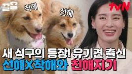 모립과 서서히 가까워지는 중인 선해 X 착해💛 앞으로 더 많이 친해지길😍 | 조립식가족 | ZUM TV