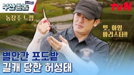 명동의 두 배 크기인 포도 농장 스케일! 워홀 왔는데 귀농 분위기로 바꿔버리는 허성태 | tvN 230605 방송 | ZUM TV