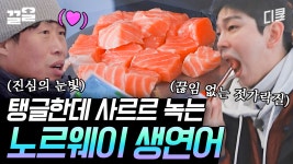 노르웨이 현지에서 맛본 연어의 맛! 씹을수록 입안 가득 퍼지는 신선한 고소함에 손이 가요~ 손이 가♥ | 텐트밖은유럽노르웨이편 | ZUM TV