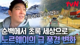 [#텐트밖은유럽노르웨이편] 같은 나라인데 날씨가 극과 극?😯 터널 하나 지나니까 보이는 풀밭🌳 | ZUM TV