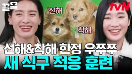 모니카X립제이의 무한 우쭈쭈받는 선해&착해🐶 동물농장 아저씨가 알려주는 특별훈련 꿀팁🍯 | 조립식가족 | ZUM TV