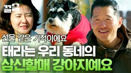 우리 동네 삼신할매 강아지 태리X태라 🐕💗 집안의 행복을 X2배로 만들어주는 복덩이 강쥐들💫 | #고독한훈련사 | ZUM TV