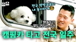 뽀송이네 캠핑카를 소개합니다✨ 캠핑카 타고 전국 일주하는 프리랜서 부부와 뽀송이! 셋이 함께할 때가 제일 행복해요💕 | 고독한훈련사 | ZUM TV