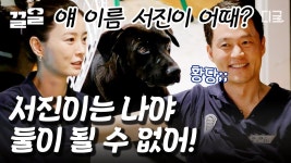 야 서진아! 나가💥 서진이네 명예 직원(?)의 등장에 간판 뺏길 위기에 처한 찐 이서진 사장님ㅋㅋ | #서진이네 | ZUM TV