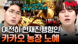 [#벌거벗은세계사] 2024년 현재 진행이라는 카카오 노동력 착취; 말도 안 나올 정도로 화나는 카카오 농장의 비극 | ZUM TV