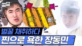 벌은 위잉위윙 장동민은 삐이삐이 ㅋㅋ 맨손으로 벌꿀 채취하라고? 그게 가능해? | 렛츠고시간탐험대2 | ZUM TV
