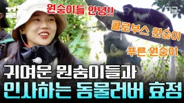 다른 2일차 산행🏔️ 이제야 풍경이 보인다! 이 와중에 동물 러버 효정이는 원숭이와🐵 인사 삼매경ㅋㅋ | #인생에한번쯤킬리만자로 | ZUM TV