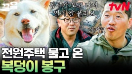 강아지를 분양받았더니 땅이 생겨버림(?) 부부에게 전원주택과 캠핑장을 가져다준 봉구 | 고독한훈련사 | ZUM TV