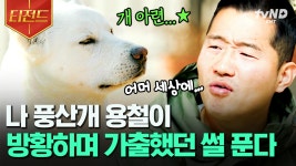 옛날에 엄마가 자꾸 너무 늦게 와서 기다리다 가출했개... 혼자 너무 무서웠개🐶 댕청미 가득한 대문자 I 강아지 용철이 | #고독한훈련사... 