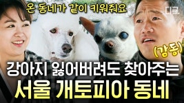 공원은 개들이 점령했다!? 온 동네가 서로 같이 키워주는 서울 개토피아🐶 | #고독한훈련사 #인기급상승 | ZUM TV