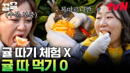 나랑 귤 따러 가지 않을래~🍊 따는 즉시 입으로 직행하는 감귤 먹방.. 아니 감귤 농장 체험! | 주말사용설명서 | ZUM TV 나랑 귤 따러 가지 않을래... 