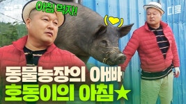 아빠는 너희 먹는 것만 봐도 배고파🐷 아침 먹기 전에 동물들 밥부터 챙겨주는 섬돼장 강호동 | 섬총사2 | ZUM TV