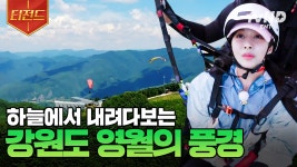 영월을 보다 알차게 즐기는 법, 패러글라이딩🪂 발아래로 펼쳐지는 아름다운 자연의 풍경 | #운탄고도마을호텔 #티전드 | ZUM TV