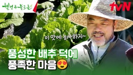 푸릇푸릇하게 잘~ 자란 (비싼) 배추🍃 이게 불로촌 표 행복이지ㅋㅋ🥰 #유료광고포함 | tvN 241026 방송 | ZUM TV