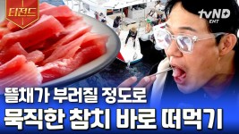 뜰채도 부러트리는 슈퍼 참치🐟 그냥 말이 필요 없음... 잡자마자 떠먹는 참치 회의 맛 | #바닷길선발대 #티전드 | ZUM TV