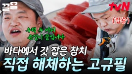요트 낚시로 대왕 참치 낚은 고규필ㄷㄷ 날마다 오는 게 아닙니다! 고규필의 참치 해체 SHOW🐟 | 바닷길선발대 | ZUM TV
