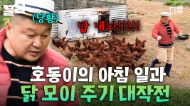 강호동이 분노한 닭들에게 당하는 영상ㅋㅋㅋ 아침잠이 확 깨는 대환장 닭 모이 주기 | 섬총사2 | ZUM TV