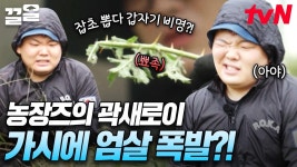 나, 이 농장의 곽새로이 ( •̀ .̫ •́ )✧ 가시밭에서는 한없이 약한 남자..💦 | 부산촌놈in시드니 | ZUM TV