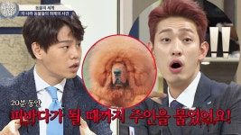 ＂밥 줘-!!＂ 배고파 화가 난 짱아오, 주인을 물어 사살 당해⊙_⊙ (헉) | ZUM TV