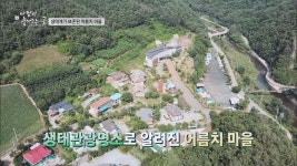 창리천&동강이 만나는 곳에 있는 어름치 마을 | ZUM TV