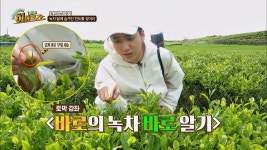 [토막 강좌] 바로의 녹차 바로 알기♥ 정말 쉽죠잉? | ZUM TV