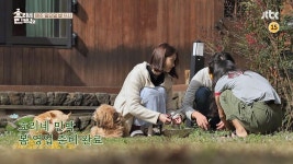 [12회 예고] 효리네 민박집 봄 영업 본격 개시! (ver. 1) | ZUM TV