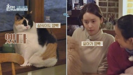 고양이 인사 나누는 윤아&돼냥이 삼식 (깜빡＞_＜) | ZUM TV