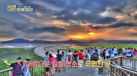 순천만 습지를 한눈에♥ 일몰 핫플레이스 용산전망대 | ZUM TV