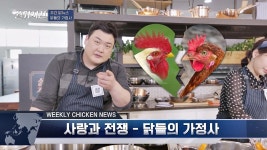 [사랑과 전쟁] 원치 않는 교미를 하는 암탉들의 비밀 전략 : TV줌 [사랑과 전쟁] 원치 않는 교미를 하는 암탉들의 비밀 전략