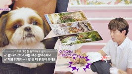 [동물 심리 분석] 펫 타로로 본 월드리어의 마음 : TV줌 [동물 심리 분석] 펫 타로로 본 월드리어의 마음