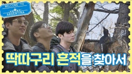 트래블러의 딱따구리s 열일 [흔적]을 찾아서… | ZUM TV