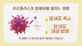 미라클 푸드 [프로폴리스]가 암세포를 축소한다! | ZUM TV