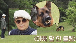 (犬무시) 노주현 무시하고 폭풍 산책 중인 알렉스 | ZUM TV