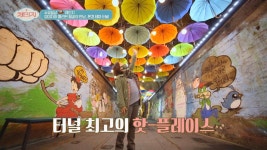 오미자🍒와 만나 핫플레이스로 재탄생한 문경 테마 터널 | JTBC 201125 방송 | ZUM TV 오미자🍒와 만나 핫플레이스로 재탄생한... 