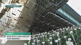 방치된 옥수역 고가하부 유휴공간에 조성된 다락옥수 | JTBC 210321 방송 | ZUM TV