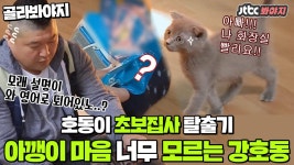 울 아빠 보는 것 같다... 강호동♥아깽이 아기고양이에게 쩔쩔매는 초보집사 탈출기ㅣJTBC 151230 방송 외 | ZUM TV
